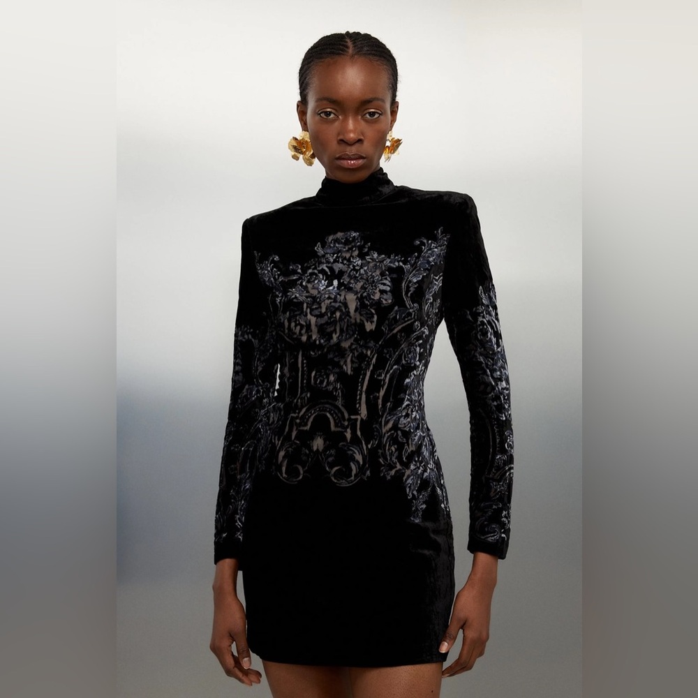 Placed Velvet Devore Long Sleeve Woven Mini Dress